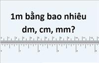 Hướng dẫn cách quy đổi 10 cm bằng bao nhiêu m nhanh nhất