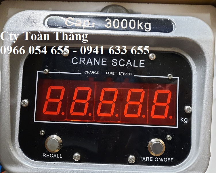 cân treo điện tử 3000kg